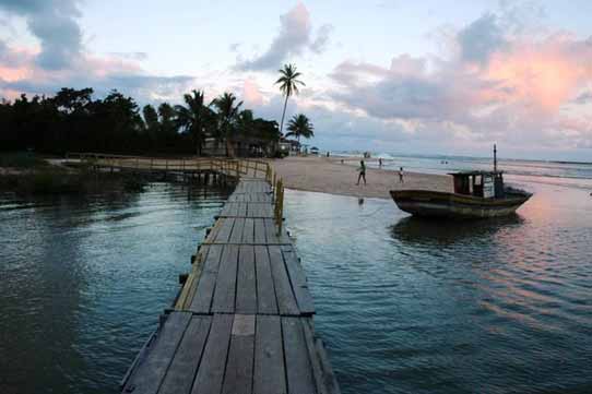 (Foto/Google)