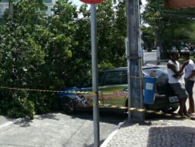 Árvore caiu em cima de carro (Foto: CFF/Marcelo Franco)