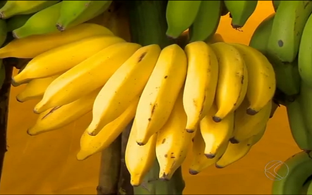 Fungo evolui e ameaça existência da fruta mais popular do mundo