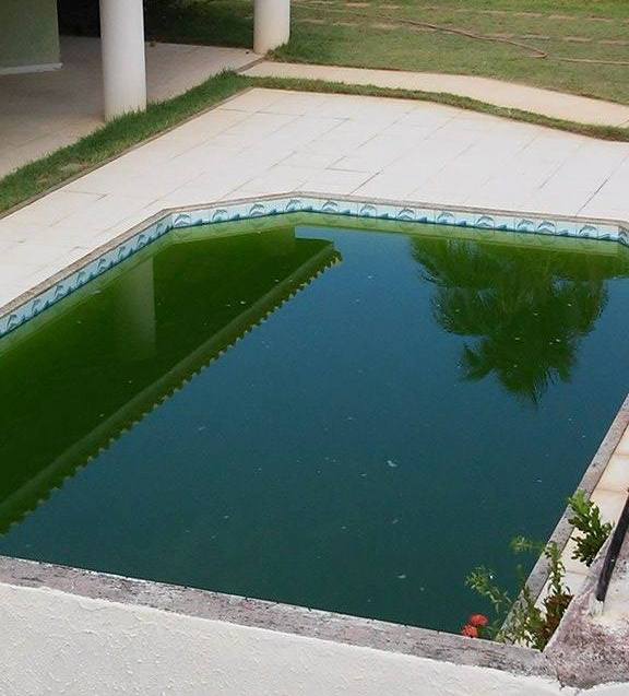 Foto mostra a piscina do condomínio visivelmente abandonada, sem cobertura e com a água na cor verde musgo