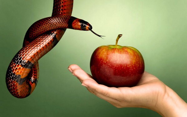 (Imagem ilustrativa)