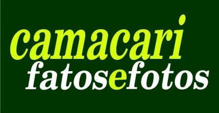 São milhares de novos internautas que clicam e elegem o CFF como o seu site preferido de notícias São milhares de novos internautas que clicam e elegem o CFF como o seu site preferido de notícias