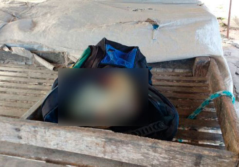 A cabeça de Pedro estava em uma mochila, abandonada em um banca de verduras