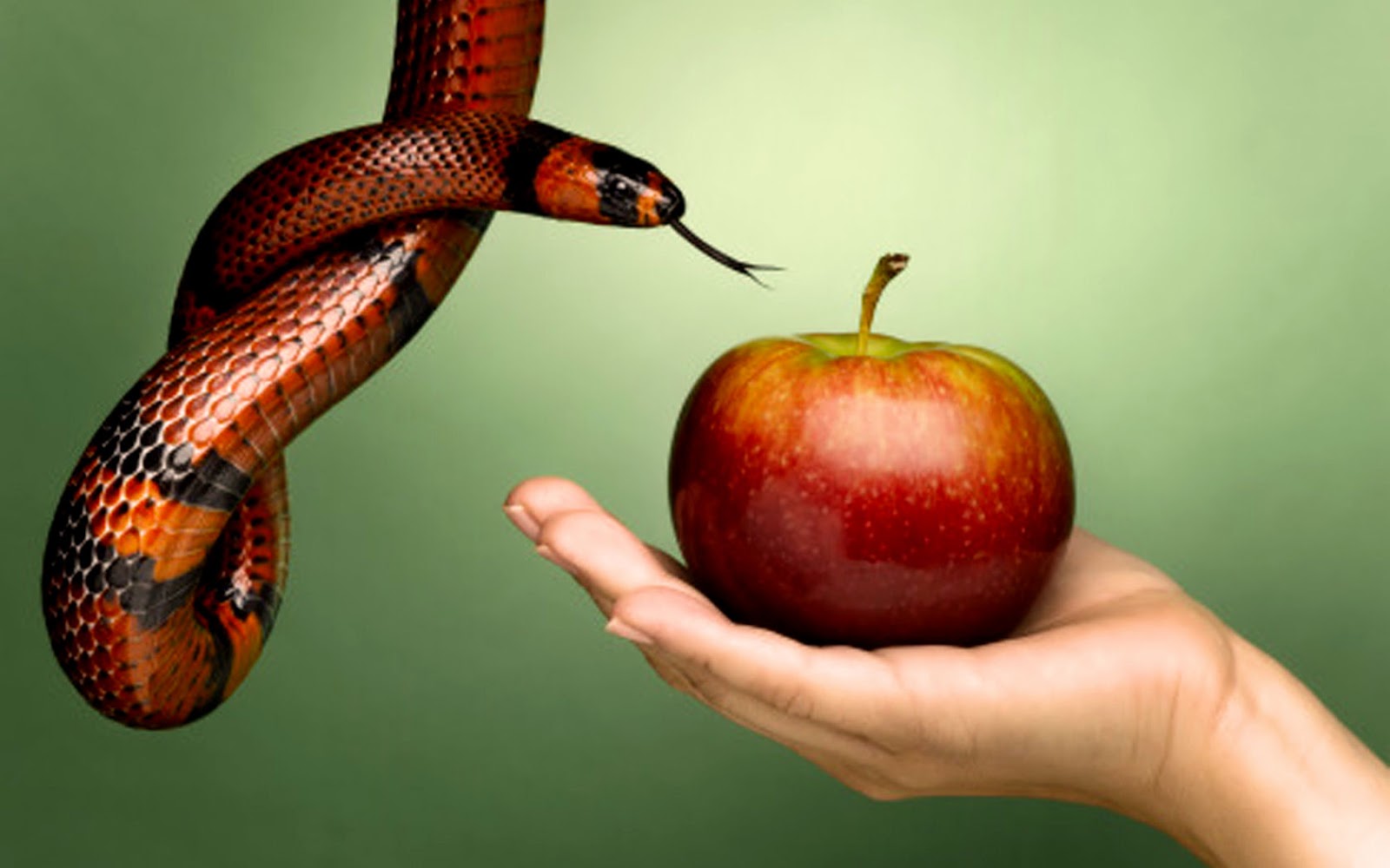 (Imagem Ilustrativa) (Imagem Ilustrativa)