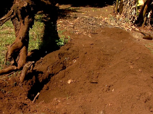 Local onde os restos mortais foram encontrados (Foto: Reprodução/EPTV)