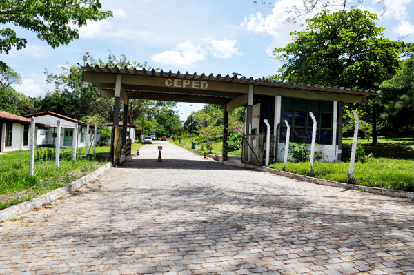 Centro de Pesquisa em Desenvolvimento