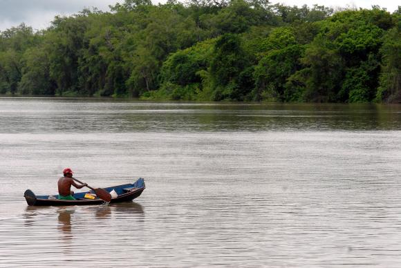 Amazônia (Foto: Marcello Casal Jr/Agência Brasil)