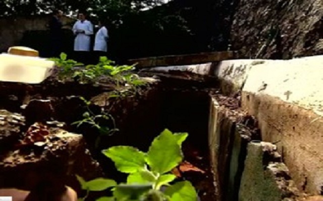 Mosquito se reproduz em bueiros, de acordo com pesquisa (Foto: Reprodução/TV Bahia)