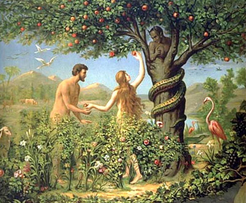 (Imagem Ilustrativa) (Imagem Ilustrativa)