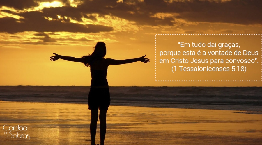 (Imagem Ilustrativa)