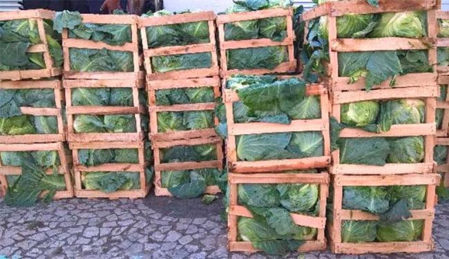 Droga estava escondida em caixotes de repolho (Foto: Ed Santos | Reprodução | Acorda Cidade)
