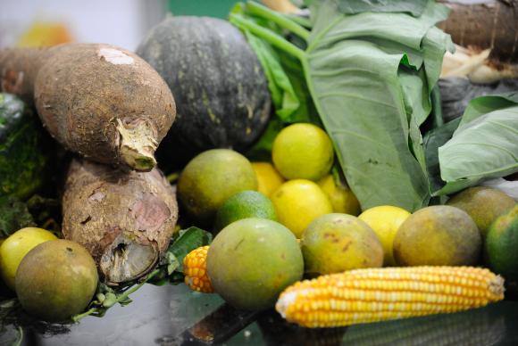 Segundo a FAO, cultivar alimentos de forma sustentável significa adotar práticas que produzam mais com menos insumos (Foto: Arquivo Correio) Segundo a FAO, cultivar alimentos de forma sustentável significa adotar práticas que produzam mais com menos insumos (Foto: Arquivo Correio)