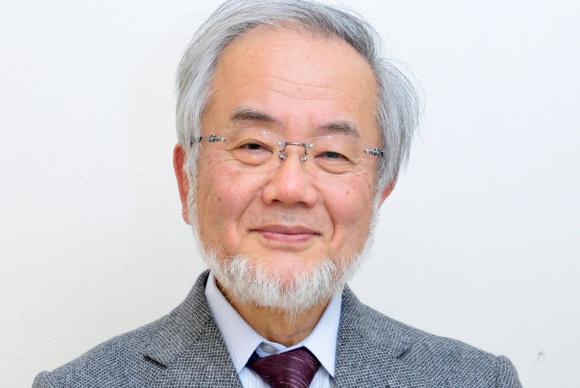 O cientista japonês Yoshinori Ohsumi ganhou o Prêmio Nobel de Medicina de 2016 pela sua descoberta do mecanismo de autofagia (Foto: EPA/TOKYO INSTITUTE OF TECHNOLOGY/HANDOUT MANDATORY CREDIT HANDOUT EDITORIAL USE ONLY/NO SALESTOKYO INSTITUTE OF TECHNOLOGY/HANDOUT)