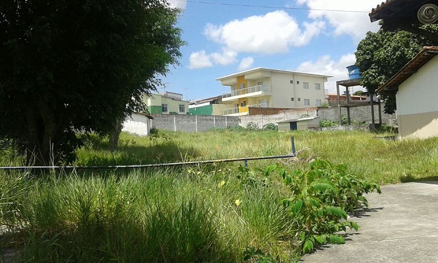 Moradora do prédio ao fundo, incomodada com a situação, depois de tentar sem sucesso com vários setores da prefeitura, acionou a Puro Verde e contratou a roçagem (Foto: CFF/Marcelo Franco)