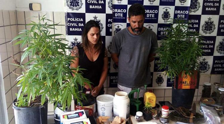Casal cultivava a maconha, secava, prensava e vendia no restaurante (Foto: Ascom/Polícia Civil)