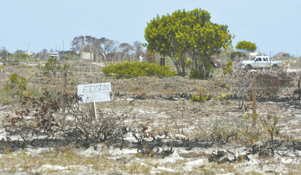 Uma das placas colocadas em terreno com nome de invasor (Foto: Mauro Akin Nassor/CORREIO)