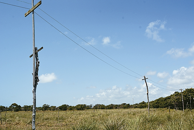 Área de 5 milhões de m² é invadida em Arembepe (Foto: Mauro Akin Nassor/CORREIO)