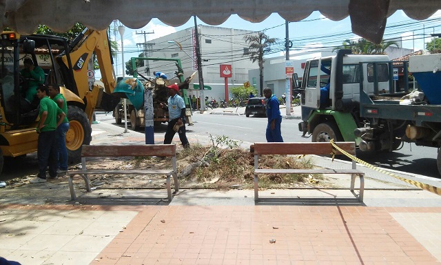 A planta foi removida na manhã desta quinta-feira (05) (Foto: Camaçari Fatos e Fotos)