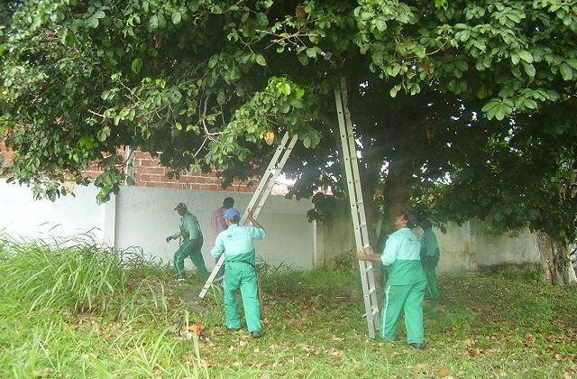 Questionada sobre às críticas da secretária, a empresa Puro Verde diz que 'ela não citou a Puro Verde, mas o mundo todo que ouviu sabe que ela se referiu a nossos contratos, únicos para os fins que são, e desafiamos que seja apresentada qualquer irregularidade que desabone a conduta da empresa no serviço contratado, prestado e faturado'.