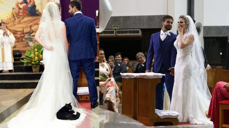 O gato se acomoda muito bem no vestido da noiva (Foto: Wagner Breciane/Timóteo Sodré | Divulgação) O gato se acomoda muito bem no vestido da noiva (Foto: Wagner Breciane/Timóteo Sodré | Divulgação)