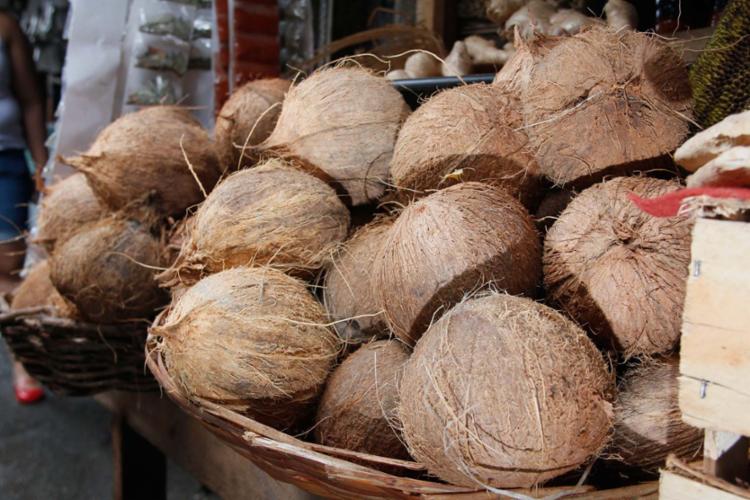 Estudos mostram que o óleo do coco não emagrece (Foto: Joá Souza | Ag. A TARDE)