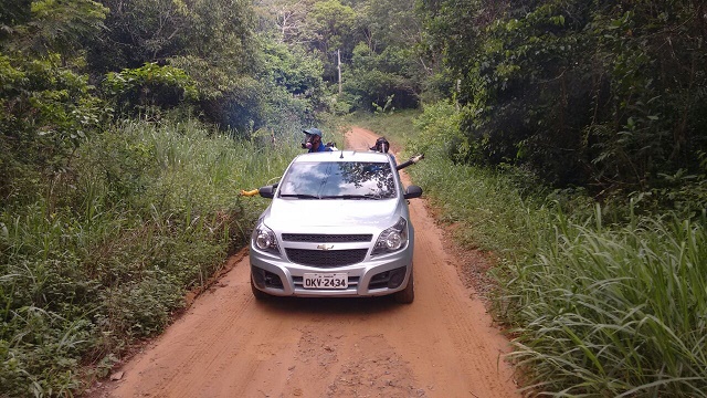 As regiões de Monte Gordo e Sucupira estão passando por esse tratamento de choque em decorrência de terem sido encontrados quatro macacos na região com o vírus da febre amarela.