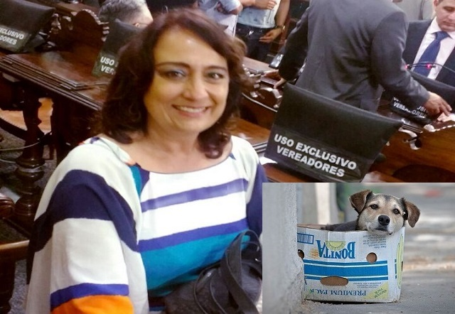 A Câmara Municipal de Salvador aprovou o projeto de autoria da vereadora Ana Rita Tavares (PMB), que indica a instalação de abrigos para animais comunitários
