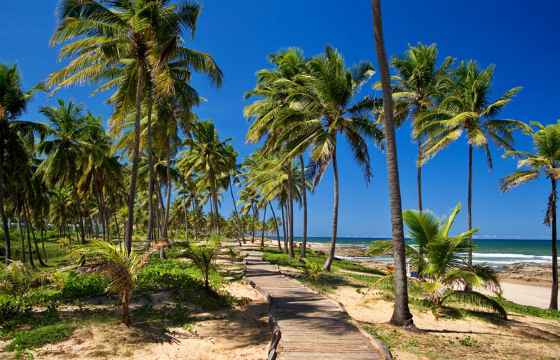 Segundo a PM, eles estavam praticando sexo oral, não respeitando as regras do local destinado à prática do naturismo