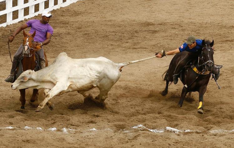 STF considerou a prática da vaquejada como submissão dos animais a crueldade (Foto: Xando Pereira l Ag. A TARDE)