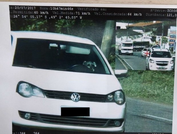 Órgão de trânsito informou ainda que o cachorro não deveria estar no banco da frente (Foto: Divulgação)