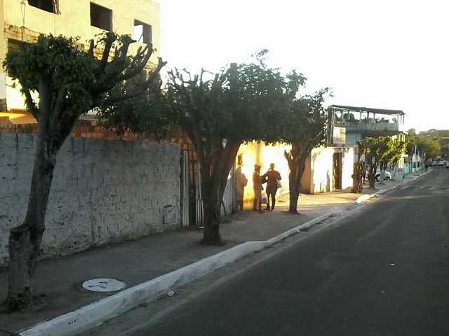 O CFF fez uma série de fotos, de vários pontos da cidade, mostrando a situação que se encontram as árvores no município (Foto: CFF)
