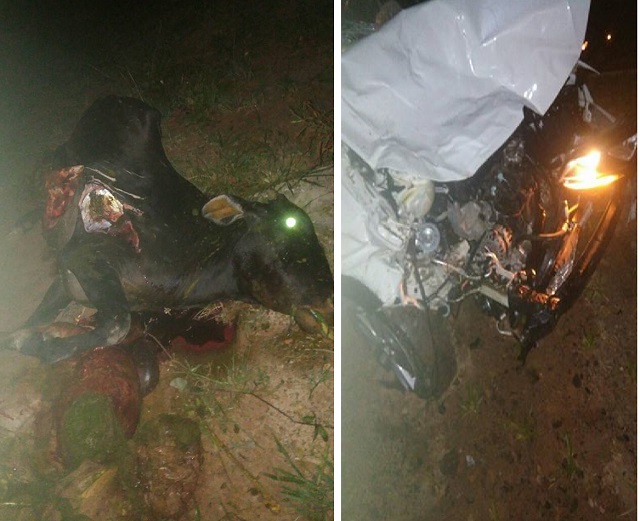O acidente ocorreu na estrada da Cetrel, na noite desta terça feira, 19