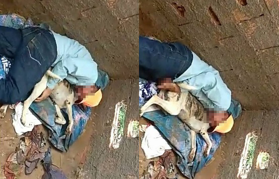 Imagens de abuso circulam nas redes sociais (Foto: Reprodução/Facebook)