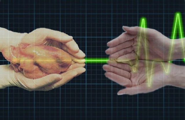 Serão mais de 2.500 voluntários em toda Bahia chamando atenção sobre o transplante de órgãos