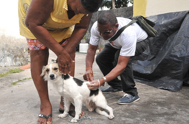A meta esperada da ação é a imunização de 80% do total de cães e gatos A meta esperada da ação é a imunização de 80% do total de cães e gatos