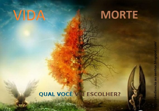 (Imagem Ilustrativa) (Imagem Ilustrativa)