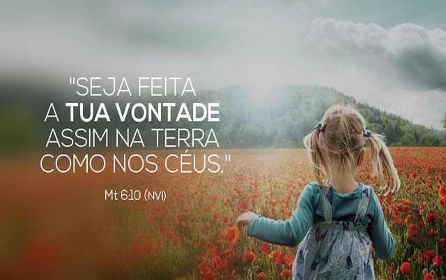 Imagem Ilustrativa Imagem Ilustrativa