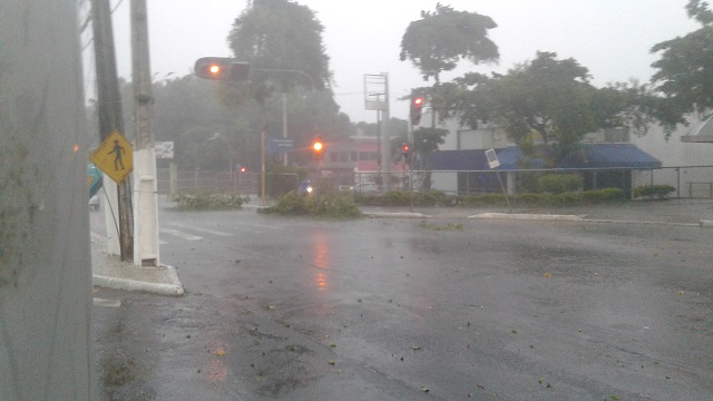 Foto: Leitor CFF