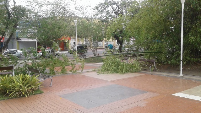 Foto: Leitor CFF