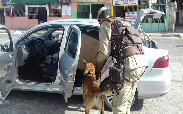 A grande novidade é a utilização de cães policiais farejadores da raça molinois, pertencentes ao Batalhão de Guarda da PM A grande novidade é a utilização de cães policiais farejadores da raça molinois, pertencentes ao Batalhão de Guarda da PM