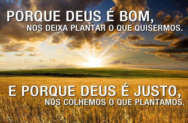 Imagem Ilustrativa Imagem Ilustrativa