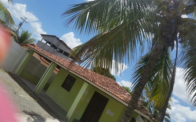 Logo na entrada do posto, um coqueiro com inúmeros cachos carregado de coco já maduros