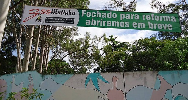 Quatro porcos do mato, que pesavam mais de 10 kg cada, foram mortos; crime ocorreu na noite de quarta-feira (6)