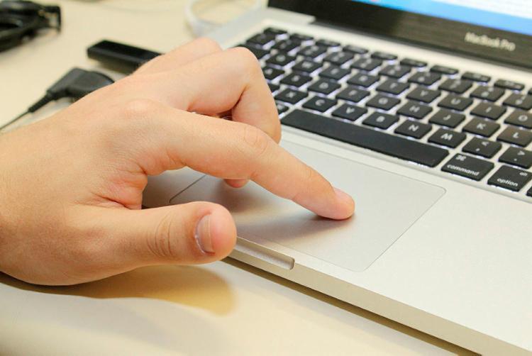 O estudante pode escolher até três órgãos que deseja estagiar