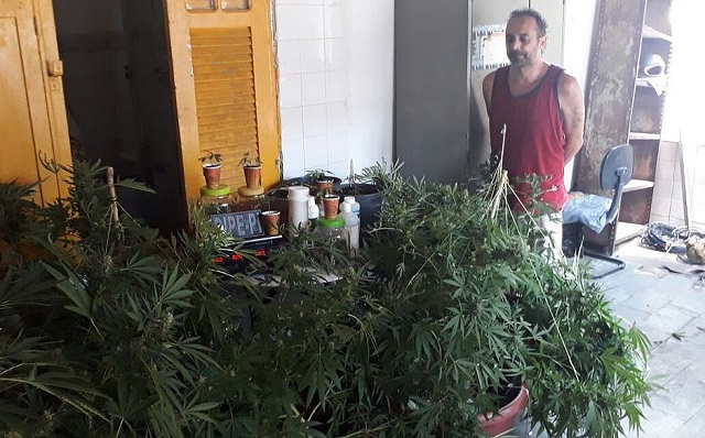 Policiais encontraram também frascos com a erva pronta para consumo e fertilizantes (Foto: Divulgação/PM) Policiais encontraram também frascos com a erva pronta para consumo e fertilizantes (Foto: Divulgação/PM)