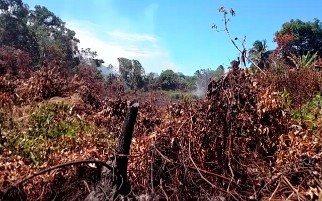 Vegetação ficou destruída após o fogo ter consumido a área (Foto: Gerry Barbuda Amaral/Arquivo Pessoal)