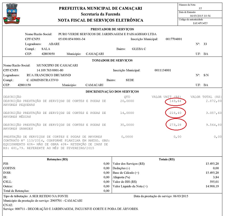 A prefeitura não explica porque cancelou um contrato com poda a R$ 273, vigente por ainda mais três anos, para lançar uma licitação com poda de árvore do mesmo porte a R$ 2.029 (Dois mil e vinte e nove reais) (Foto: Print | Arquivo)