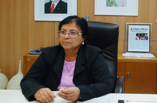 Maria do Carmo Siqueira, presidenta da AHPIC Maria do Carmo Siqueira, presidenta da AHPIC