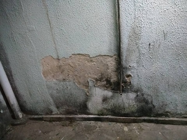 (Foto: Divulgação)