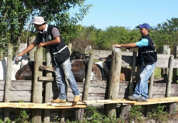 A Bahia possui 21 anos livre da Febre Aftosa e busca a manutenção do status de zona livre (Foto: Reprodução)